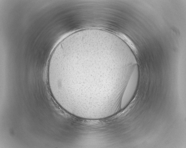 X0000115531052200912181523