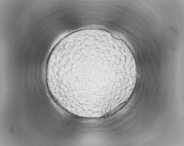 X0000115531054200912181523