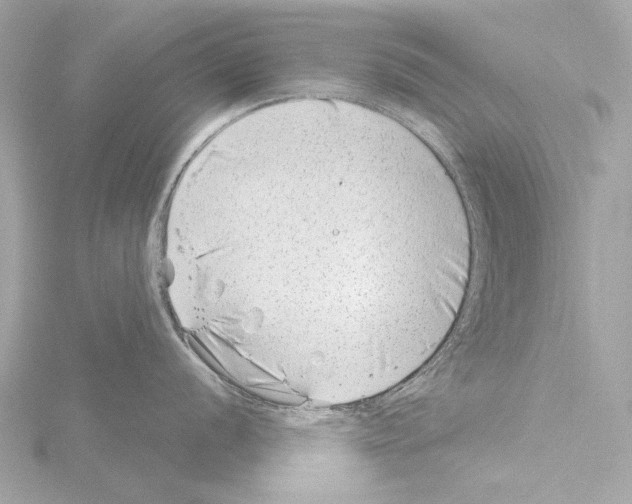 X0000115531056200912181523