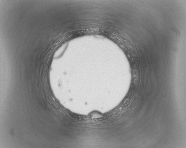 X0000115531057200912181522