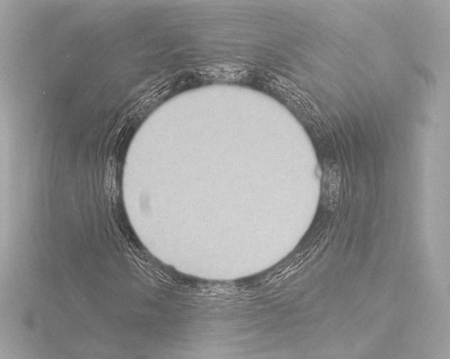 X0000115531058200912181522