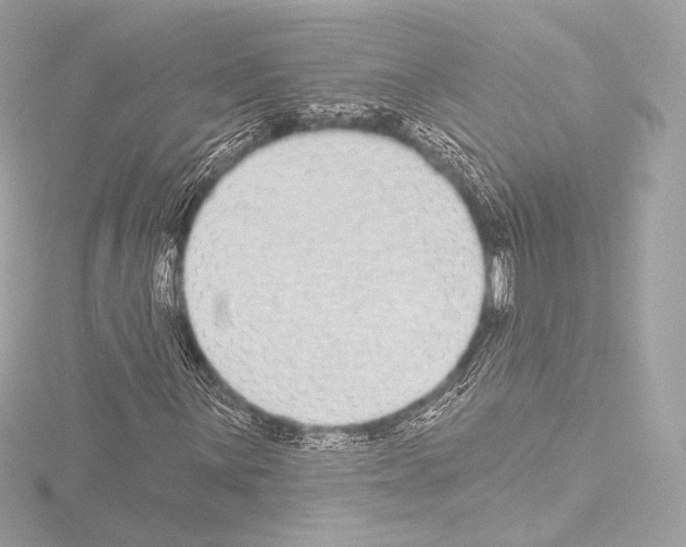 X0000115531059200912181522