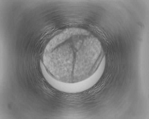 X0000115531060200912181522