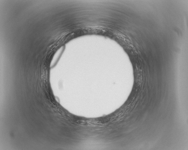 X0000115531061200912181522