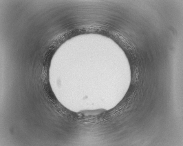 X0000115531062200912181522