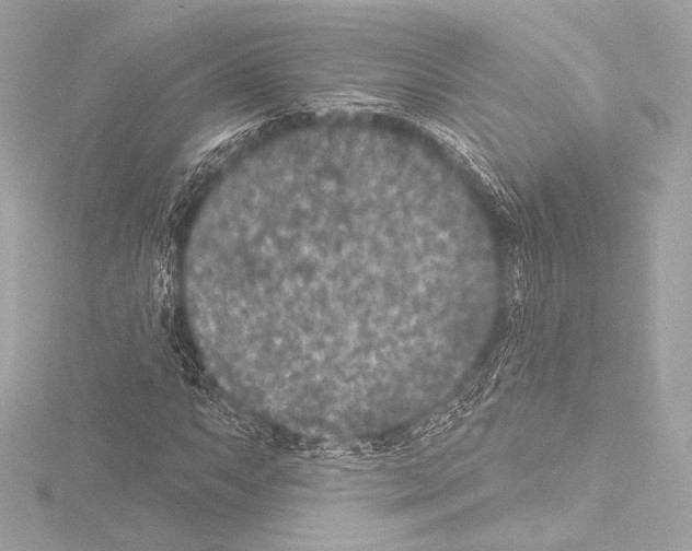 X0000115531063200912181522