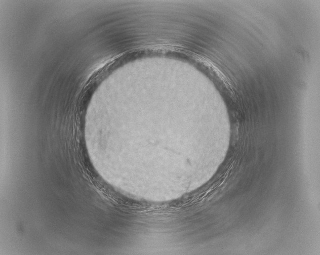 X0000115531064200912181522