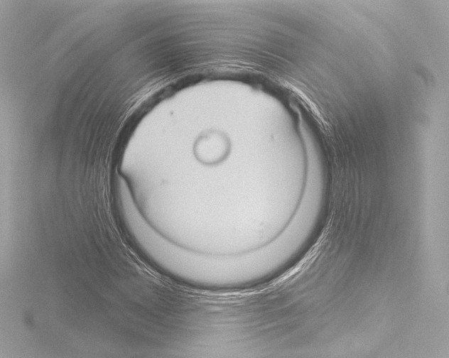 X0000115531065200912181522