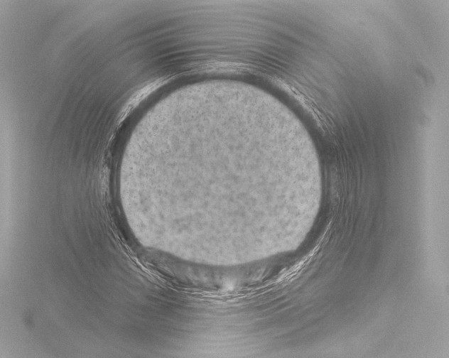 X0000115531066200912181522