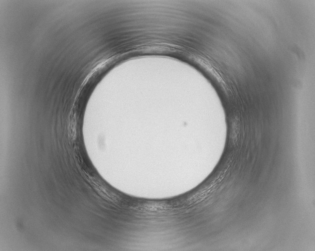 X0000115531067200912181522