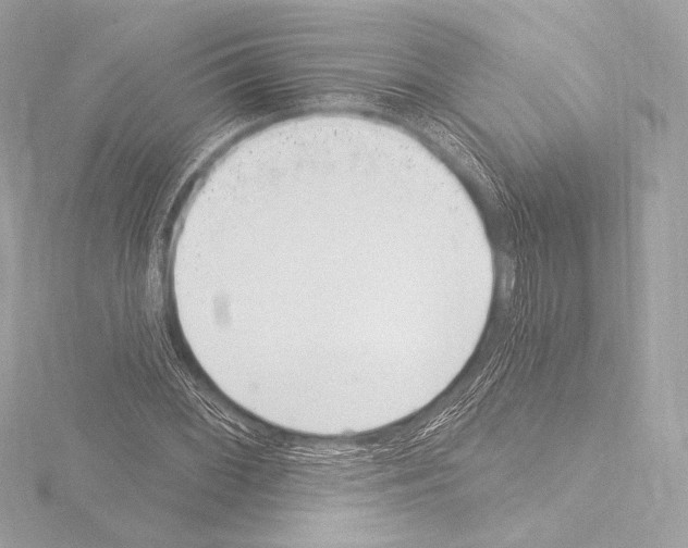 X0000115531068200912181522