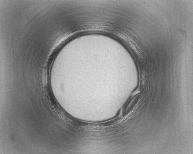 X0000115531069200912181522