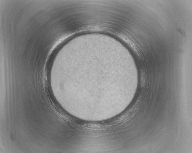 X0000115531070200912181522