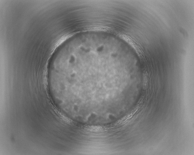 X0000115531071200912181522