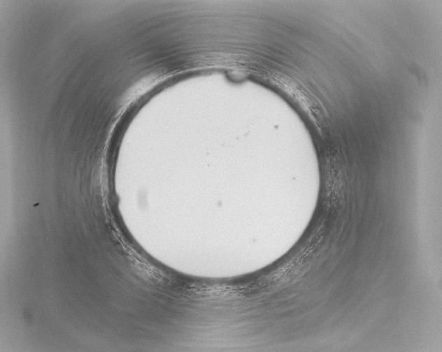 X0000115531072200912181522