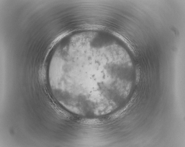 X0000115531074200912181522