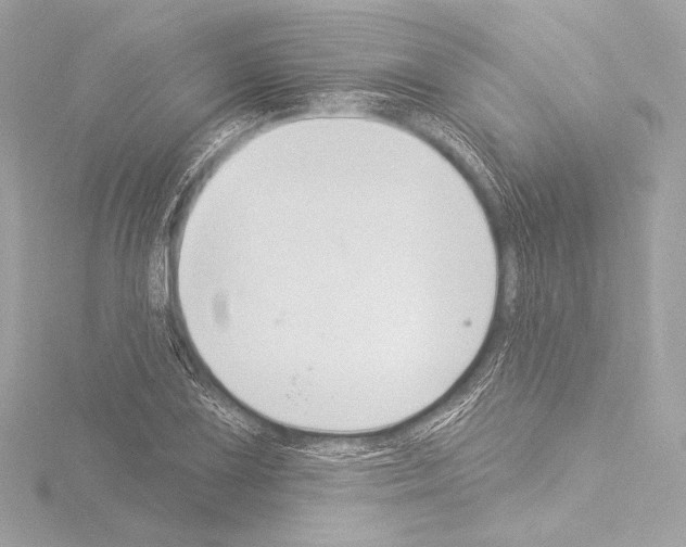 X0000115531075200912181522