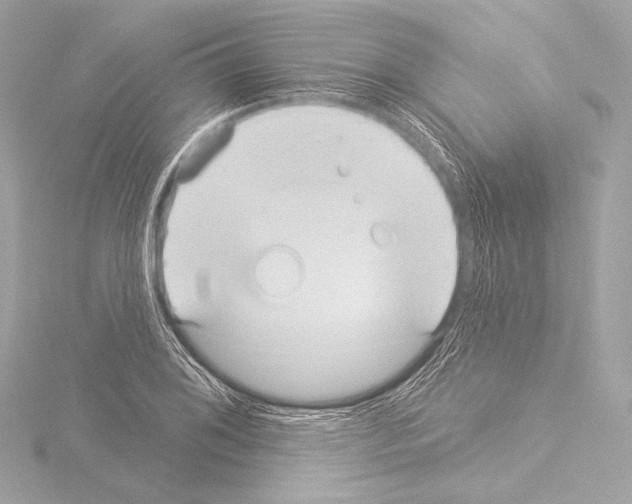 X0000115531076200912181522