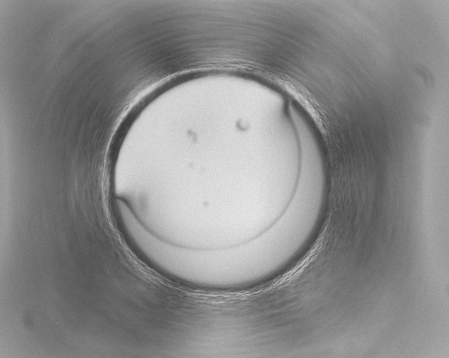 X0000115531077200912181522