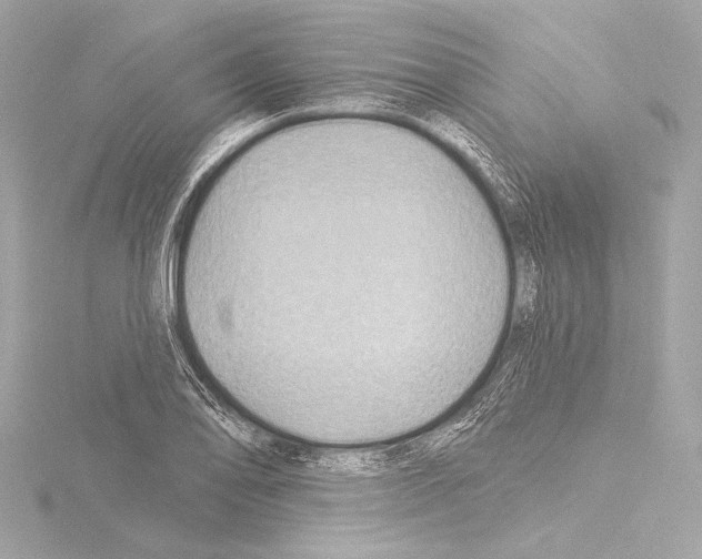 X0000115531078200912181522