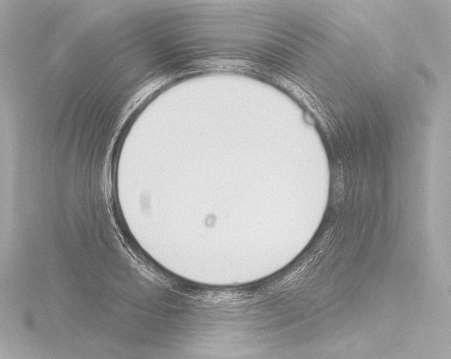 X0000115531082200912181522