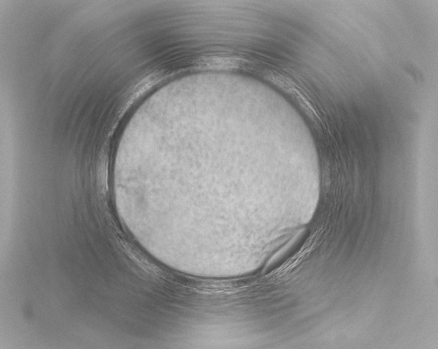 X0000115531083200912181522