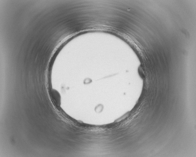 X0000115531085200912181522