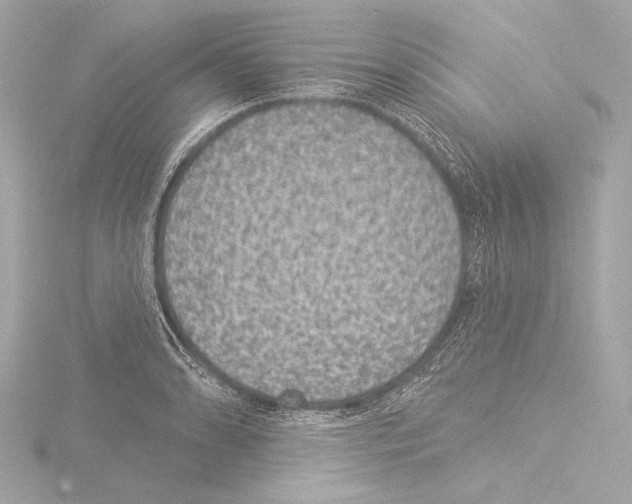 X0000115531086200912181522