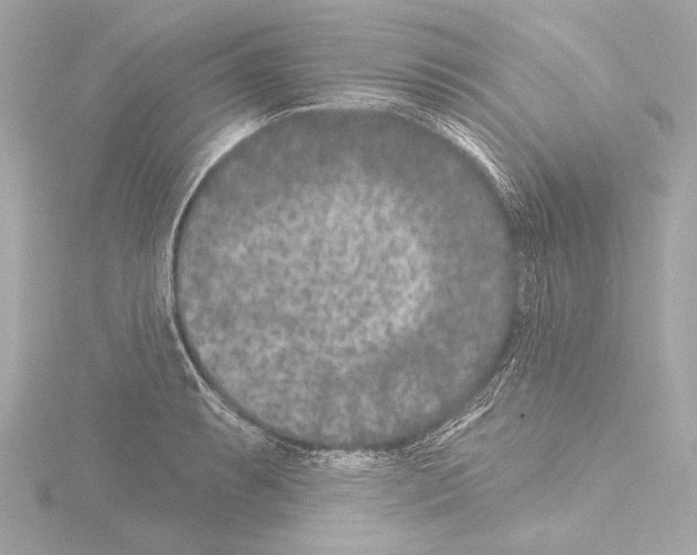 X0000115531087200912181522