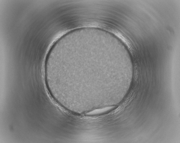 X0000115531088200912181522