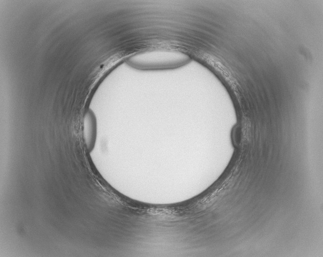 X0000115531089200912181522