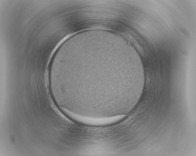 X0000115531092200912181522