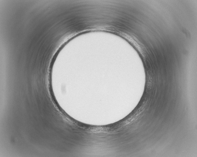 X0000115531093200912181522