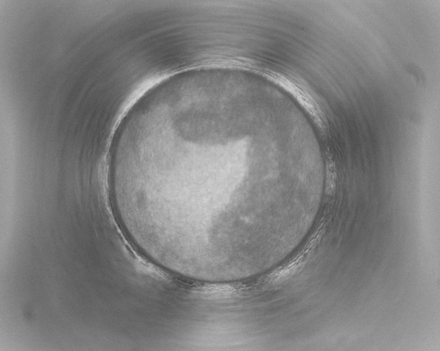 X0000115531094200912181522