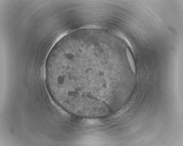 X0000115531095200912181522