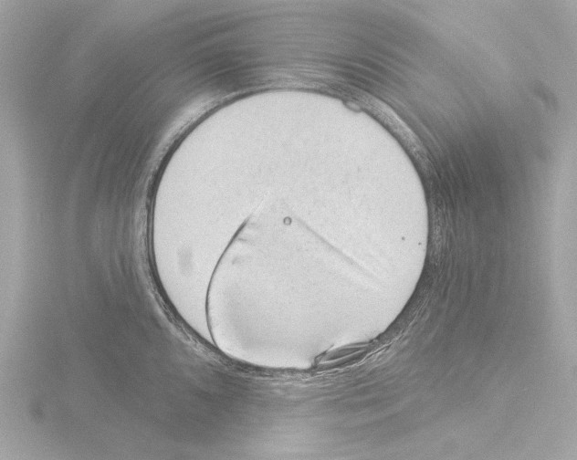 X0000115531096200912181522