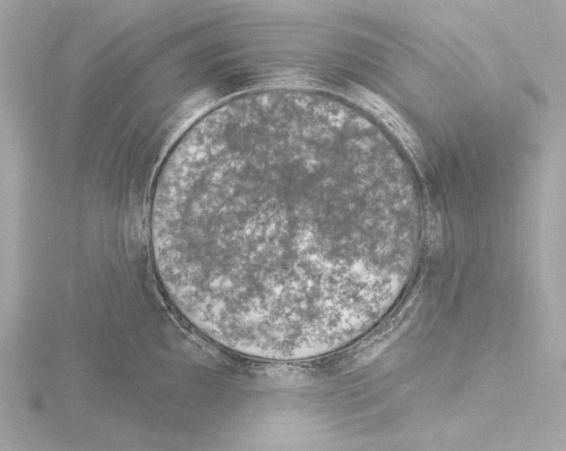 X0000115531097200912181522