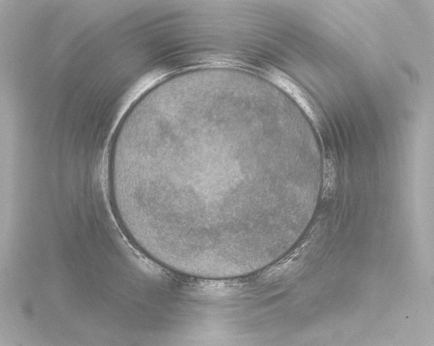 X0000115531098200912181522