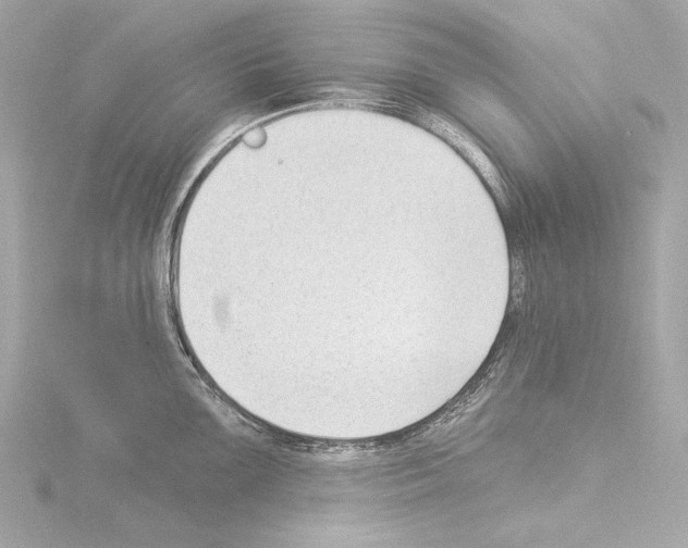 X0000115531099200912181522