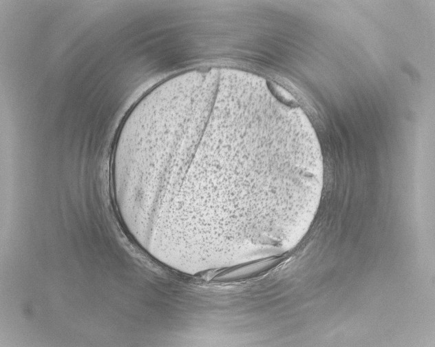 X0000115531100200912181522