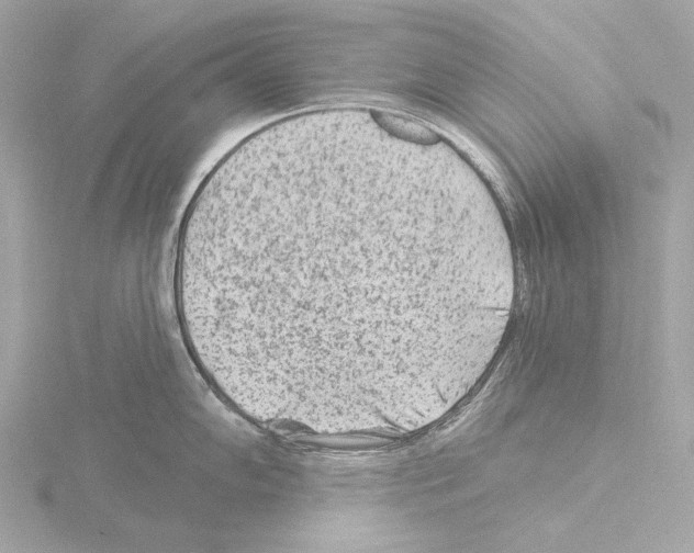 X0000115531102200912181522