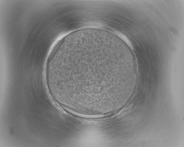 X0000115531104200912181522