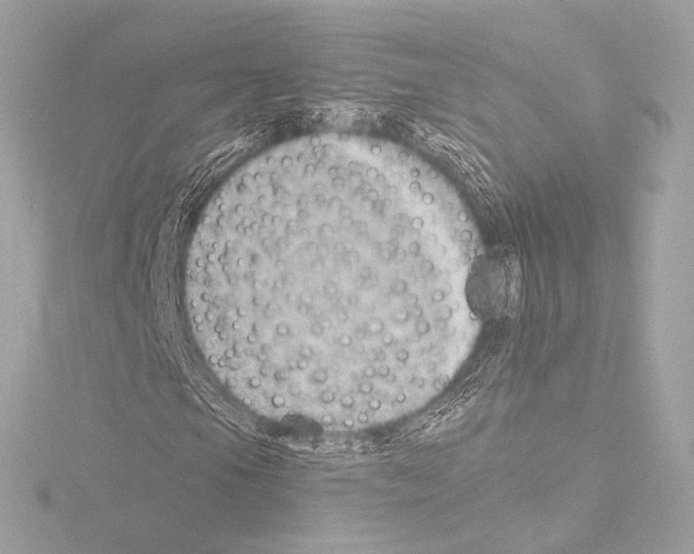 X0000115531105200912181521