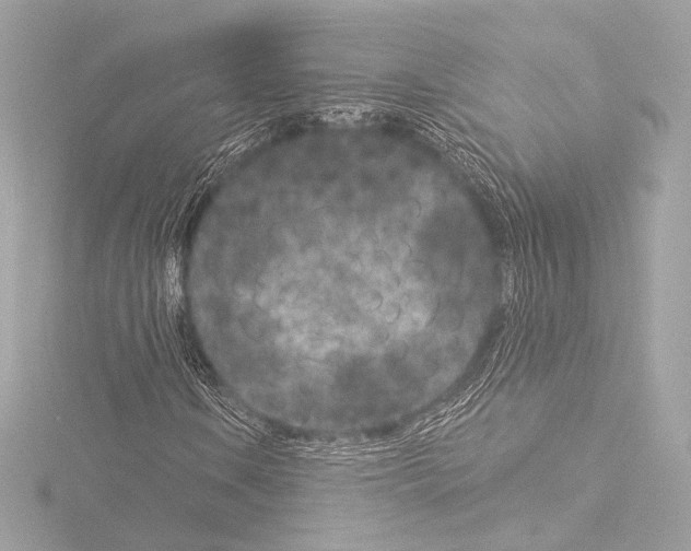 X0000115531106200912181521