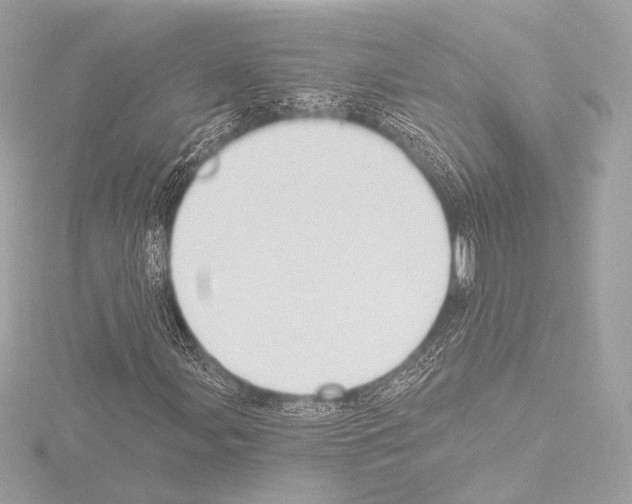 X0000115531107200912181521