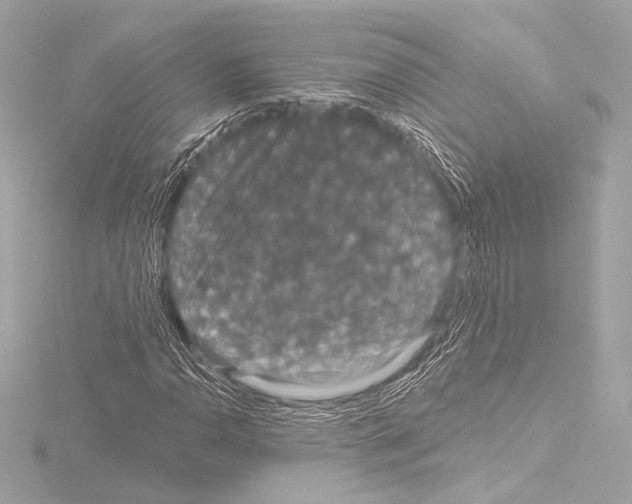 X0000115531110200912181521