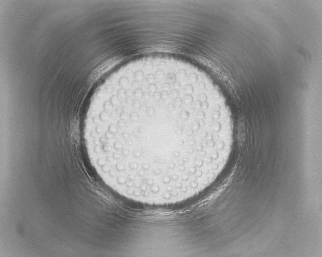 X0000115531113200912181521