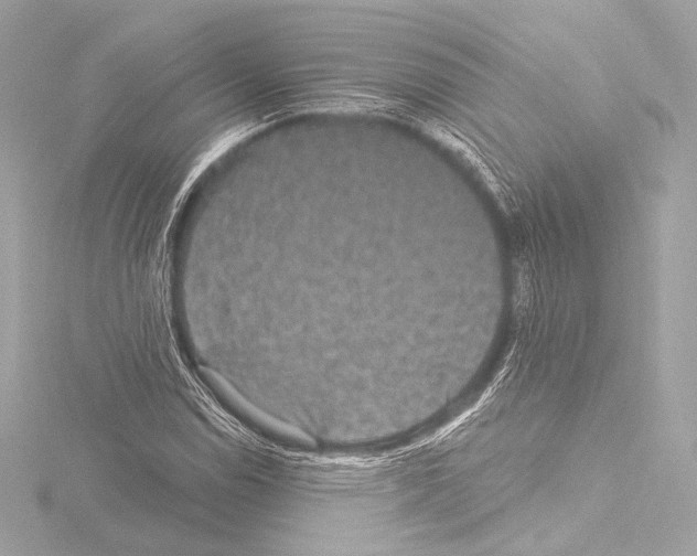 X0000115531114200912181521