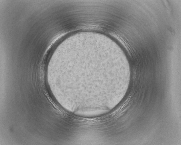 X0000115531115200912181521