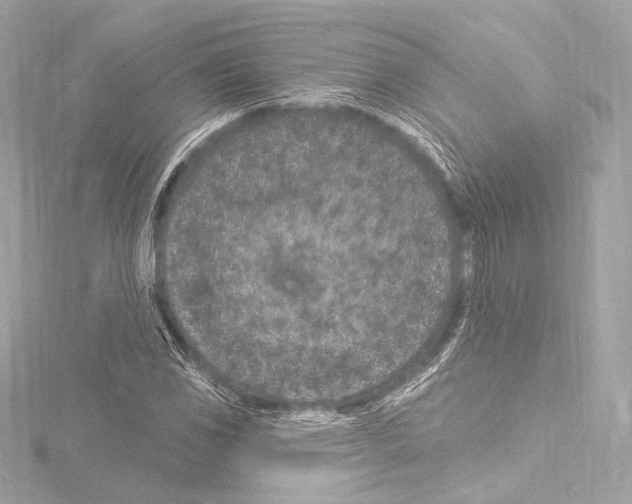 X0000115531117200912181521